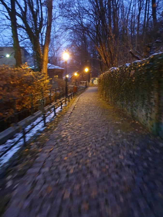 Apartamenty Magiczna Wenecja Cieszyn  Eksteriør billede